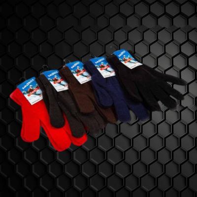 ASSORTED COLOR LARGE GLOVES (ADULT)